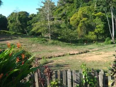 Rebajada ! El Paraiso en una Finca de Oportunidad, Casa de 400m2 y Piscina de 200m2 en Calle Paraíso, photo 5