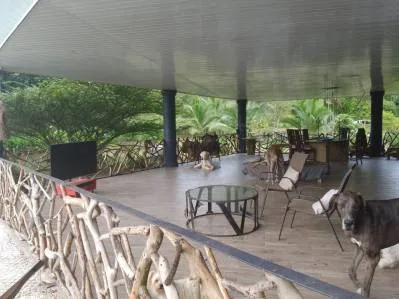 Rebajada ! El Paraiso en una Finca de Oportunidad, Casa de 400m2 y Piscina de 200m2 en Calle Paraíso, photo 6