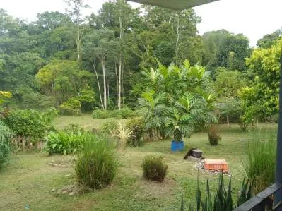Rebajada ! El Paraiso en una Finca de Oportunidad, Casa de 400m2 y Piscina de 200m2 en Calle Paraíso, photo 10