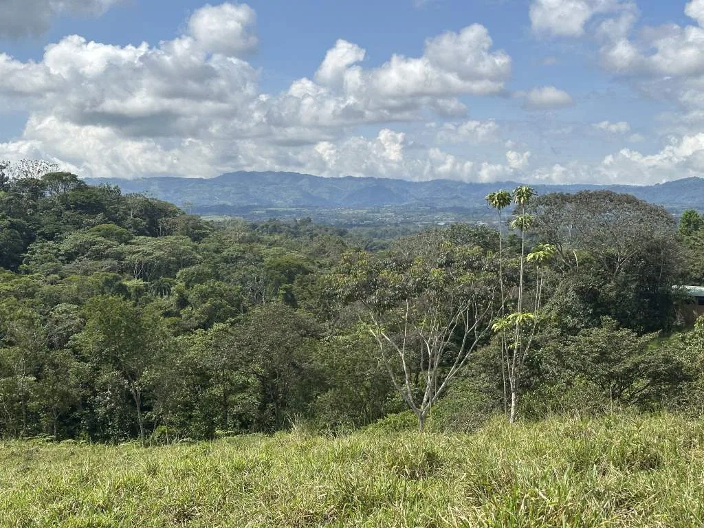 Finca Con Plantel Grande, Camino, Cabina, Potreros, Servicios Públicos