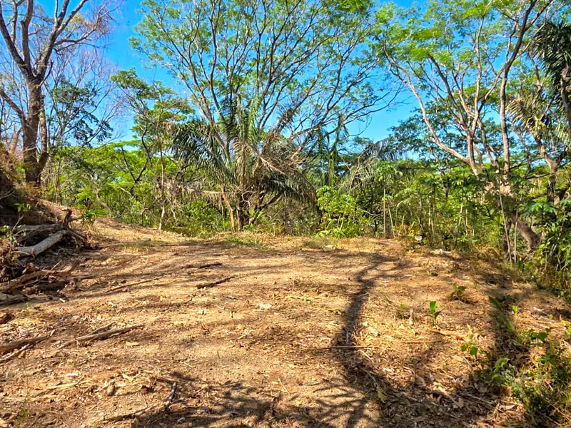 Land For Sale in Samara, photo 2