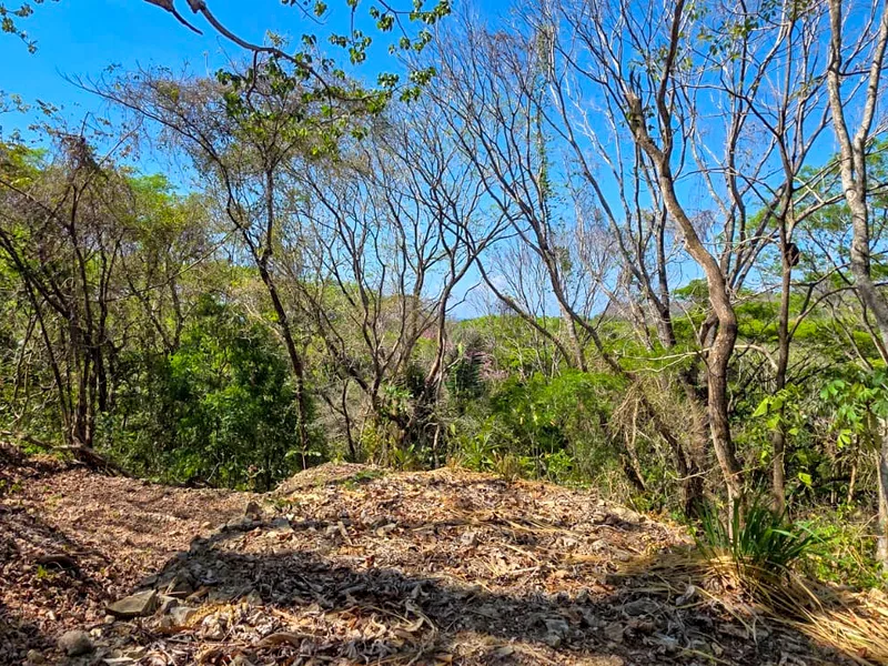 Land For Sale in Samara, photo 3
