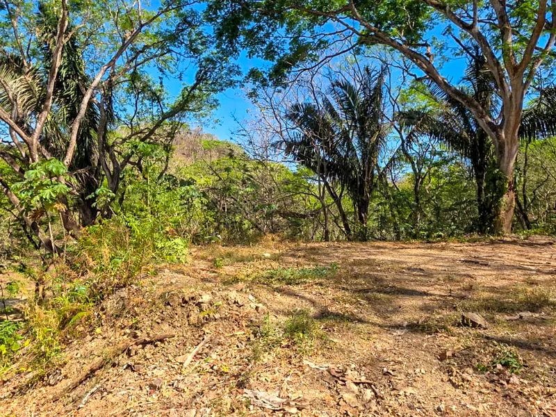 Land For Sale in Samara, photo 4