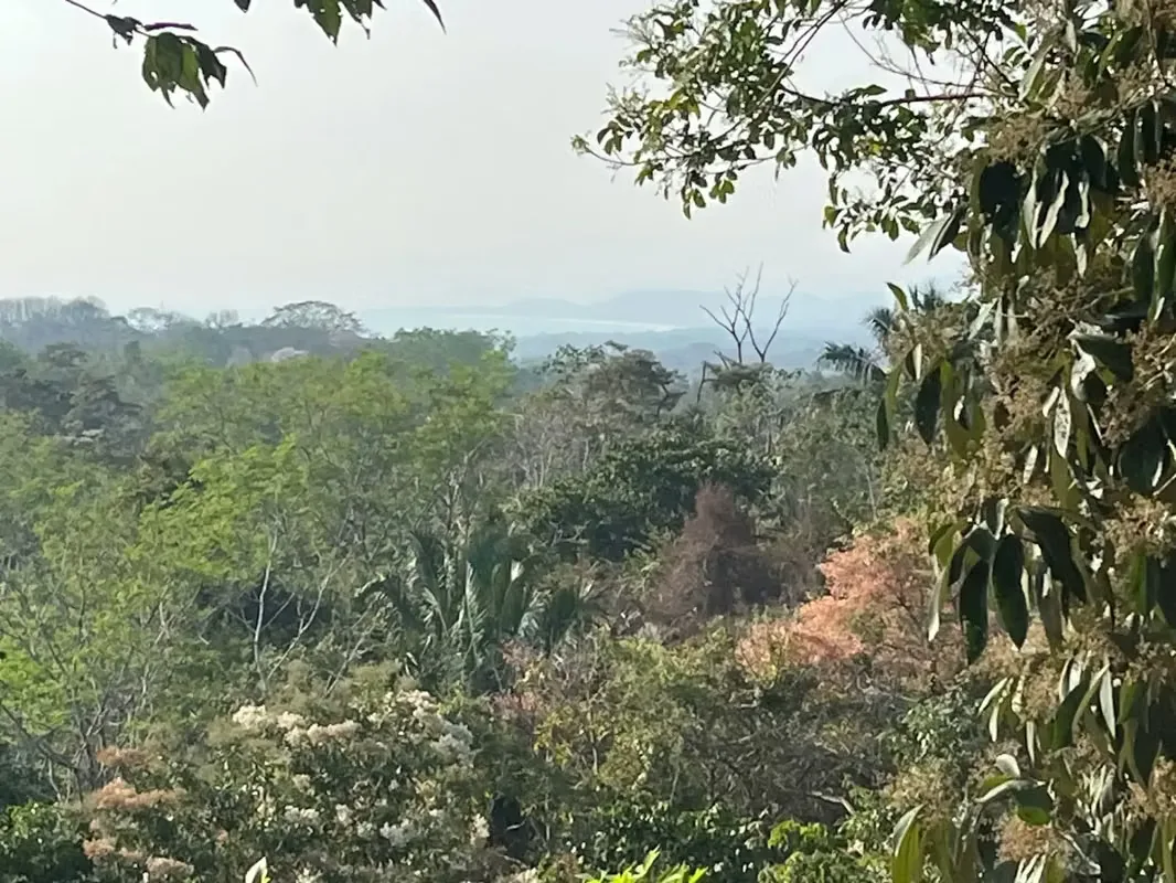 A stunning 11,000 m² property featuring gorgeous mature trees and breathtaking ocean views. This versatile lot is zoned for both residential and commercial use, with the possibility to ...