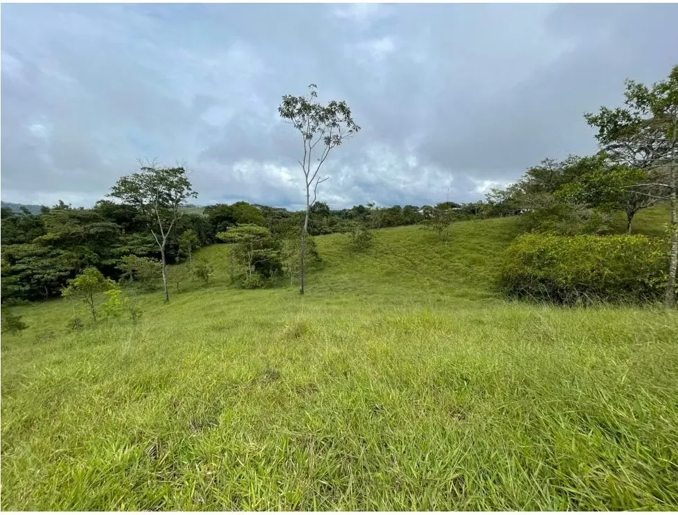 Development Land for Sale in Puriscal