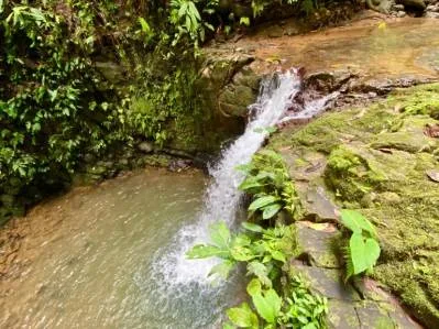 Spectacular 70 Acre Multiple Waterfall Property with Dramatic Views Near Ojochal, photo 4
