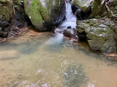 Spectacular 70 Acre Multiple Waterfall Property with Dramatic Views Near Ojochal, photo 8