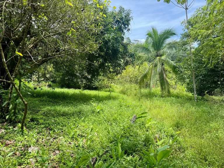 0.25 ACRES – Easy Access Flat Affordable Property In Escaleras With Public Road, Asada Water, Power, and Internet!!!, photo 4