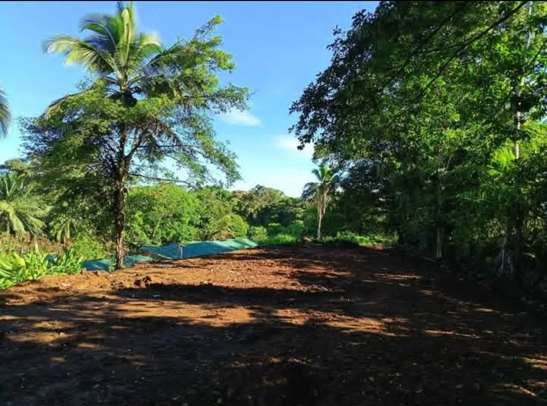 ¡Excelente oportunidad de inversión en Sarapiquí!