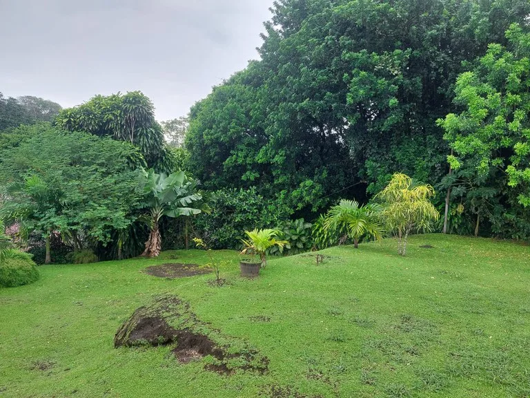 House in Nuevo Tronadora, photo 4