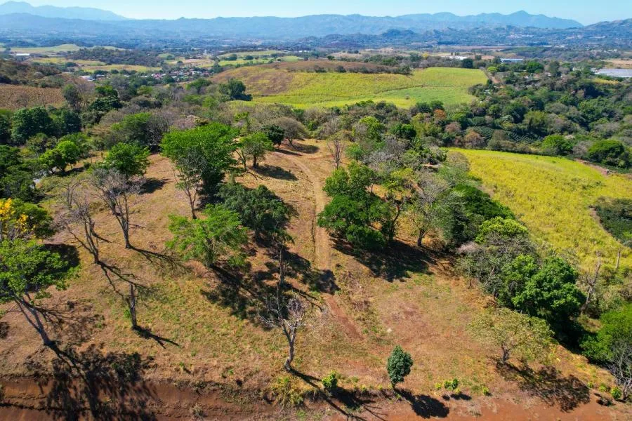 Lote en Venta en Grecia – 10,000 m² con Uso Mixto - Venta en Grecia, photo 2