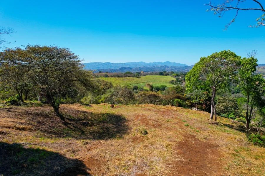 Lote en Venta en Grecia – 10,000 m² con Uso Mixto - Venta en Grecia, photo 3