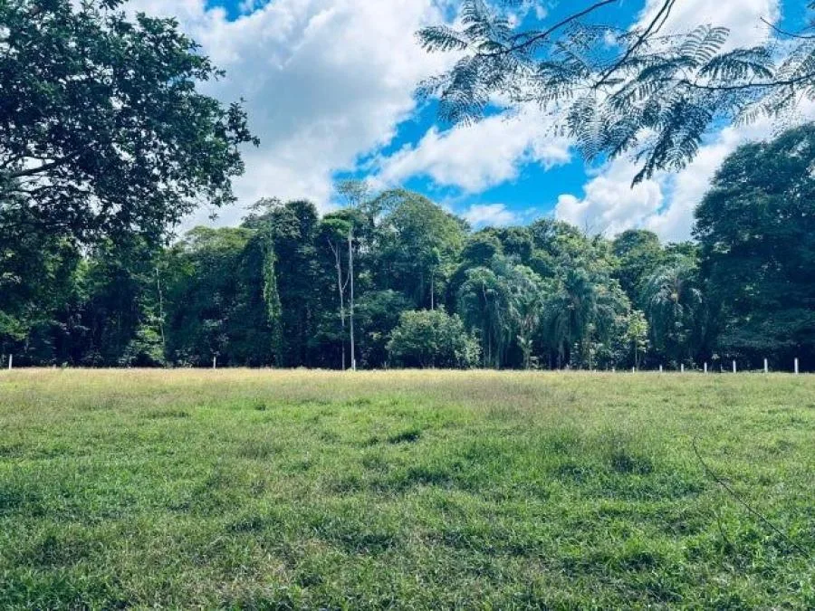 Lote en Barva 667 m² listo para construir, clima fresco y alta plusvalía #26-701 GS - Venta en Montes de Oca, photo 8