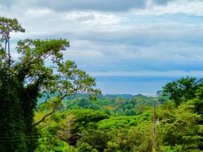 Lote premium de 2,27 acres con vista a la montaña en Caracara Ridge, lote 22, photo 3