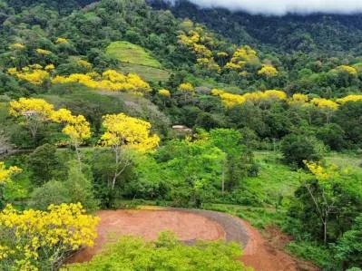 Lote premium de 2,27 acres con vista a la montaña en Caracara Ridge, lote 22, photo 7