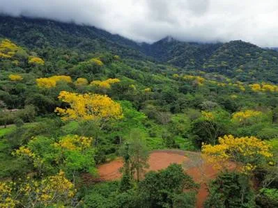 Lote premium de 2,27 acres con vista a la montaña en Caracara Ridge, lote 22, photo 9