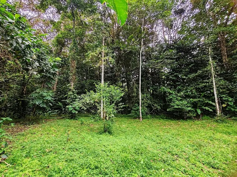 ID 651: Titled Building Lot near Punta Uva Beach: 5875 sqm with Creek, photo 2
