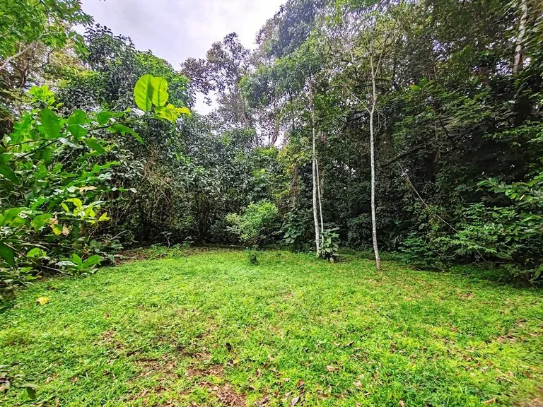 ID 651: Titled Building Lot near Punta Uva Beach: 5875 sqm with Creek, photo 3