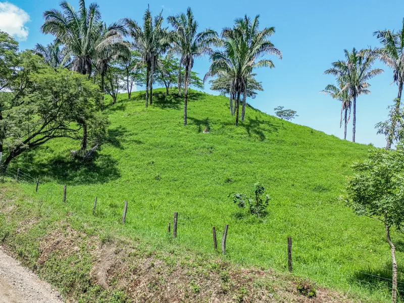 Land For Sale in Samara, photo 2