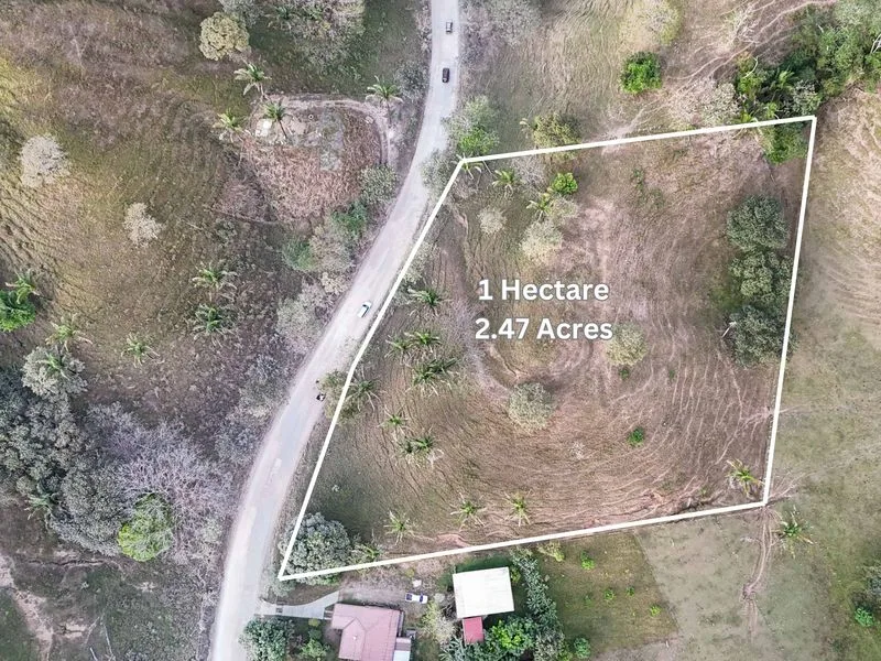 Land For Sale in Samara, photo 15