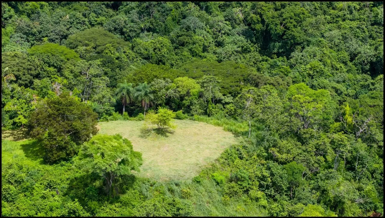 124.4-Hectare Ocean View Property with Springs and Development Potential in El Triunfo, Guanacaste, photo 2