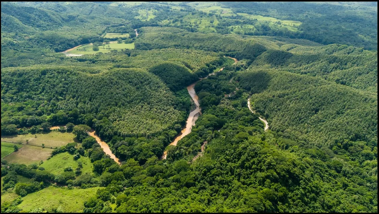 124.4-Hectare Ocean View Property with Springs and Development Potential in El Triunfo, Guanacaste, photo 14
