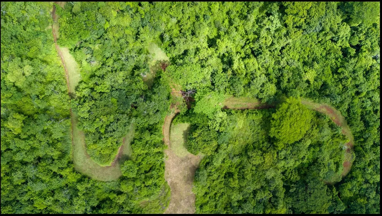 124.4-Hectare Ocean View Property with Springs and Development Potential in El Triunfo, Guanacaste, photo 15