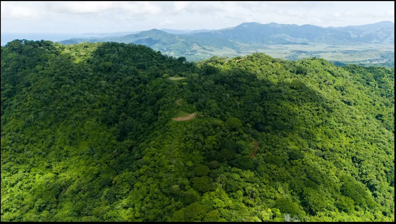124.4-Hectare Ocean View Property with Springs and Development Potential in El Triunfo, Guanacaste, photo 3