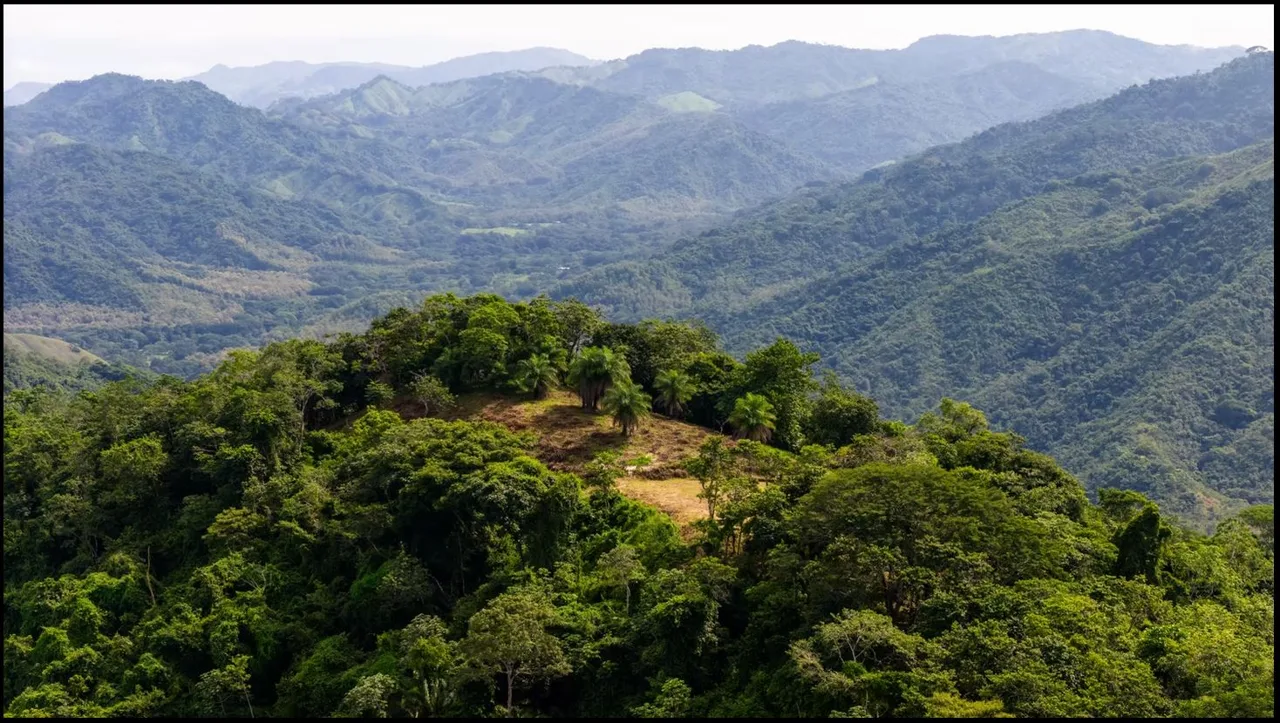 124.4-Hectare Ocean View Property with Springs and Development Potential in El Triunfo, Guanacaste, photo 4