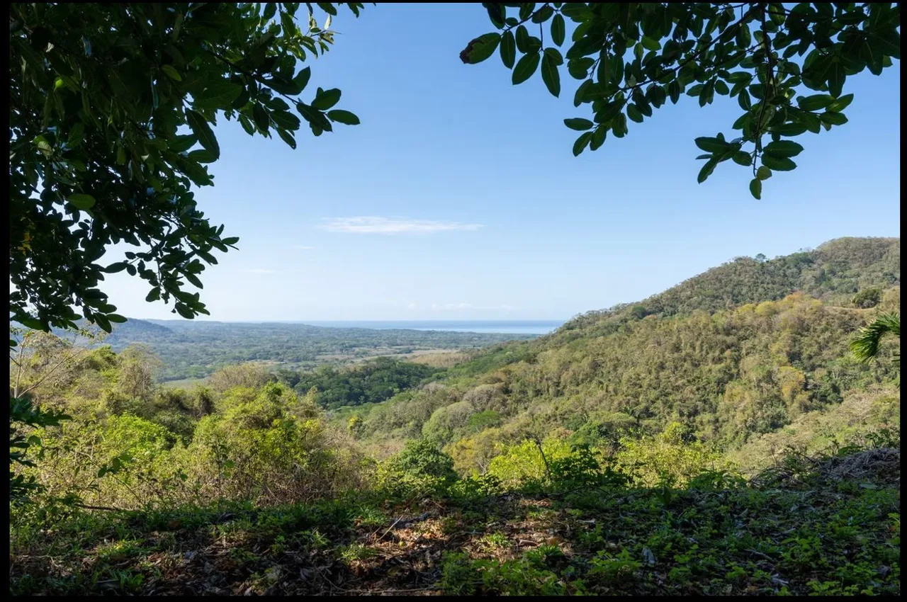 124.4-Hectare Ocean View Property with Springs and Development Potential in El Triunfo, Guanacaste, photo 5