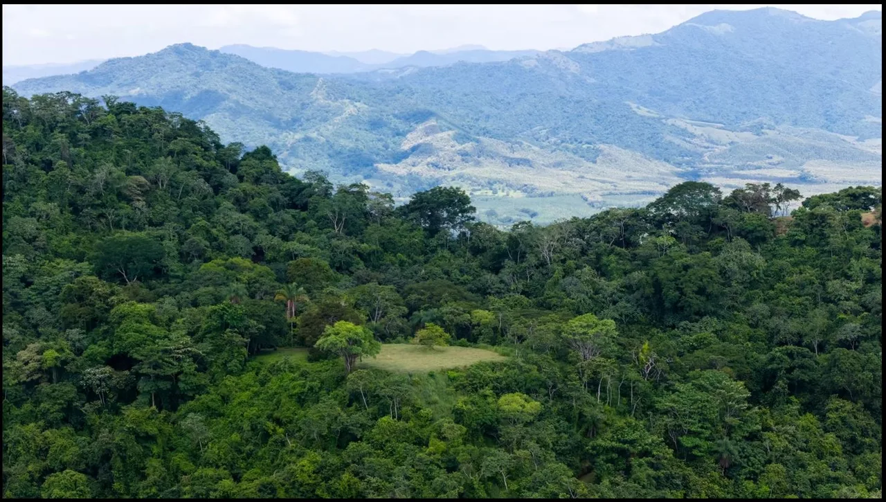 124.4-Hectare Ocean View Property with Springs and Development Potential in El Triunfo, Guanacaste, photo 7