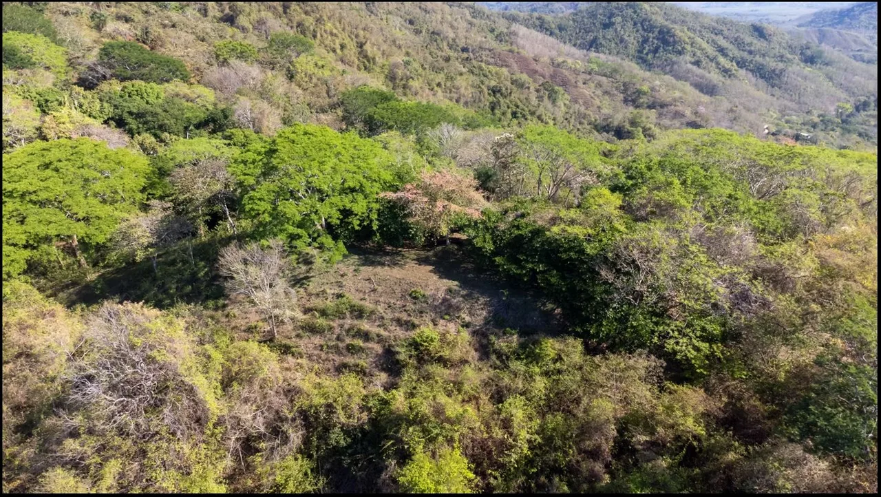 124.4-Hectare Ocean View Property with Springs and Development Potential in El Triunfo, Guanacaste, photo 8