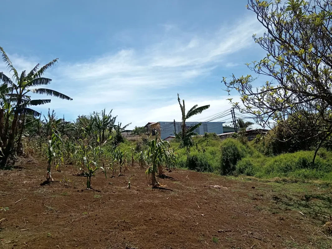 MA Asesoría vende Hermosa Finca en Concepción de San Rafael, Heredia., photo 2