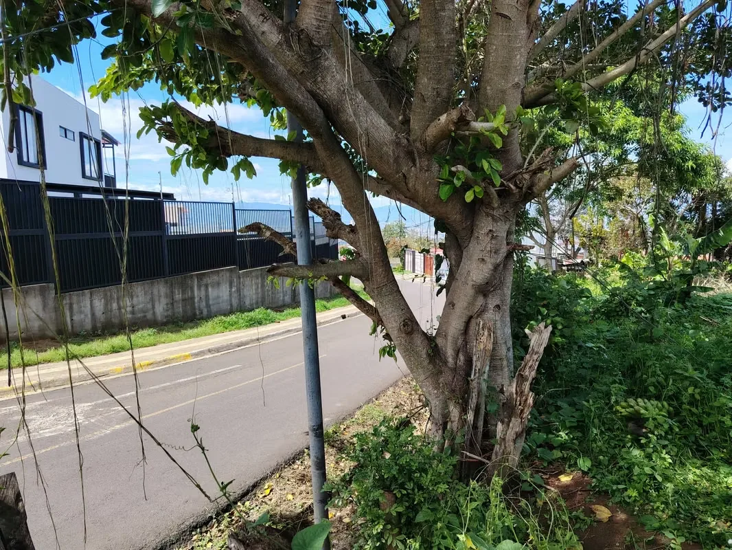 MA Asesoría vende Hermosa Finca en Concepción de San Rafael, Heredia., photo 12