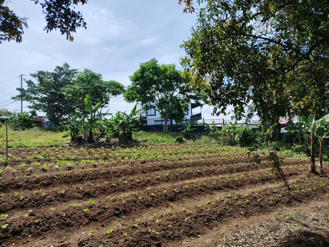 MA Asesoría vende Hermosa Finca en Concepción de San Rafael, Heredia., photo 13