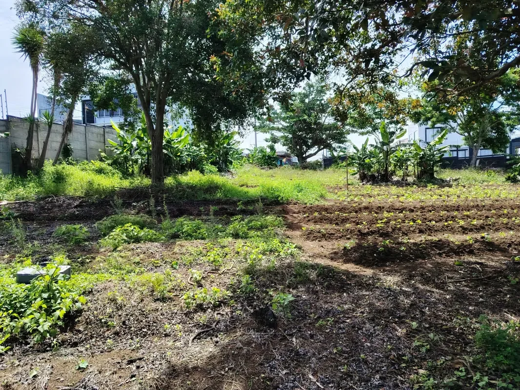 MA Asesoría vende Hermosa Finca en Concepción de San Rafael, Heredia., photo 14