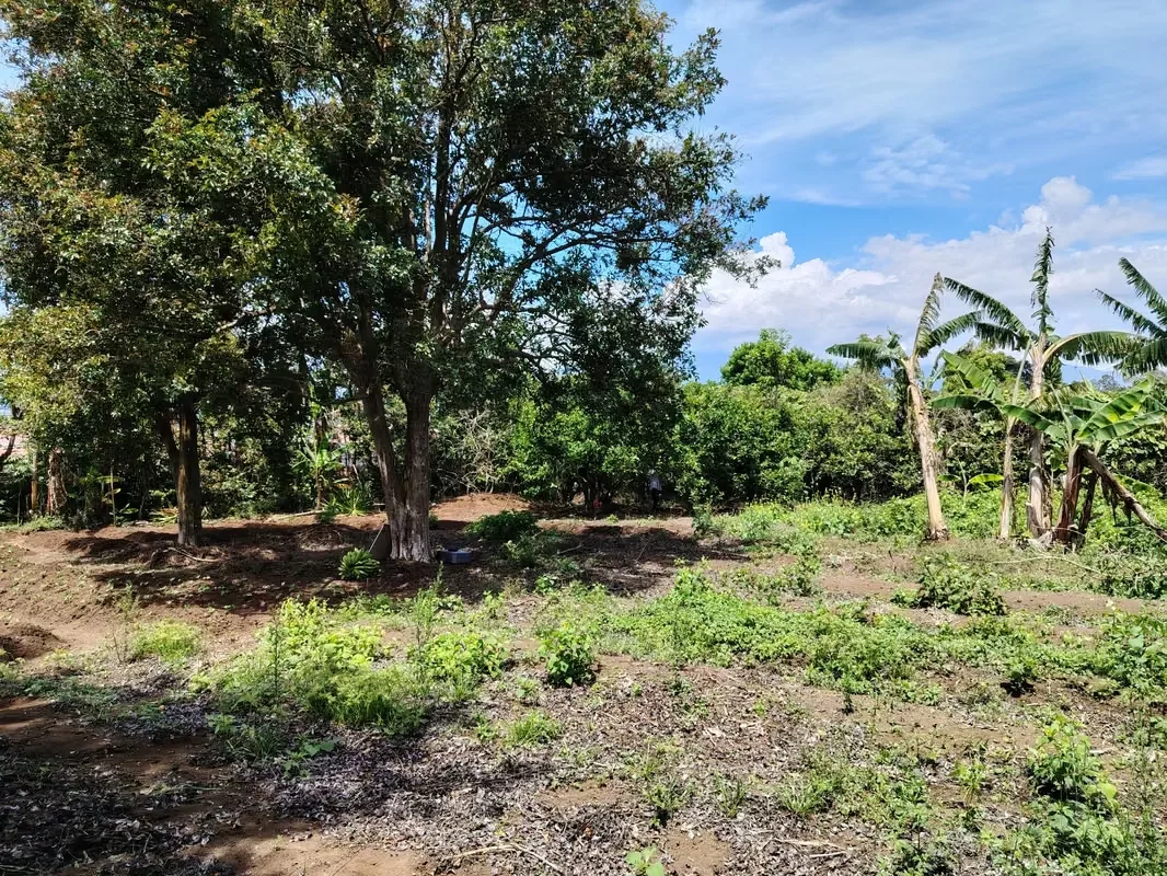 MA Asesoría vende Hermosa Finca en Concepción de San Rafael, Heredia., photo 15