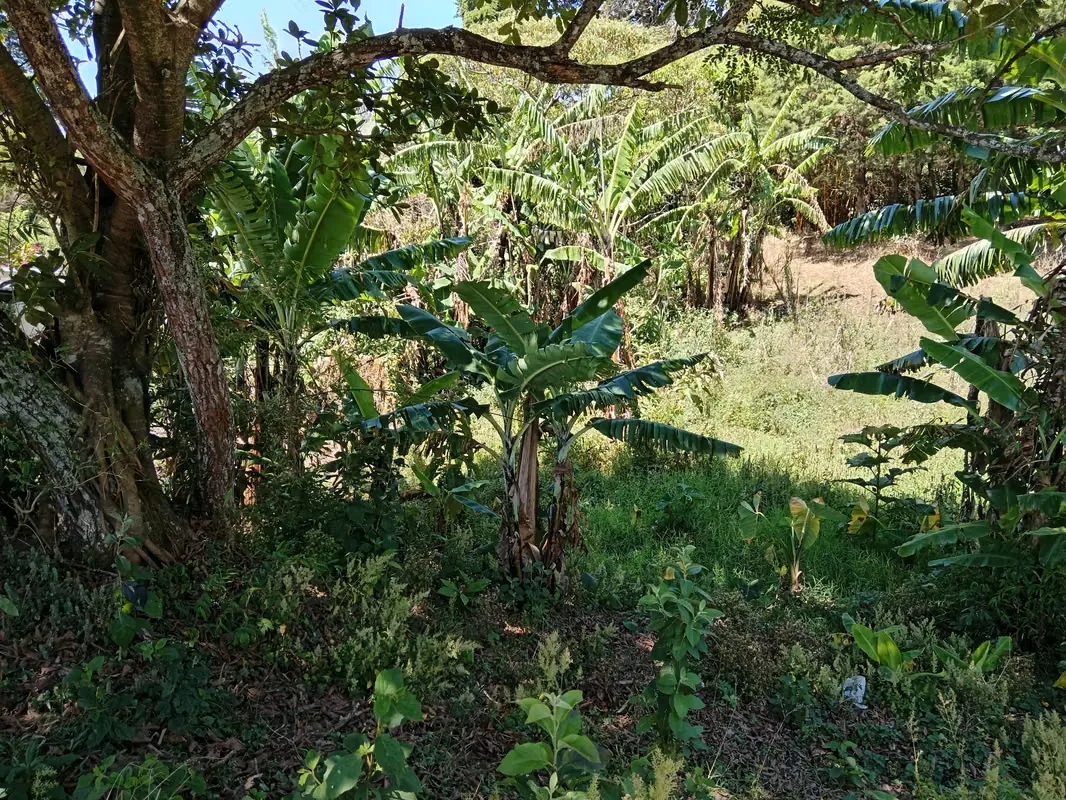MA Asesoría vende Hermosa Finca en Concepción de San Rafael, Heredia., photo 3