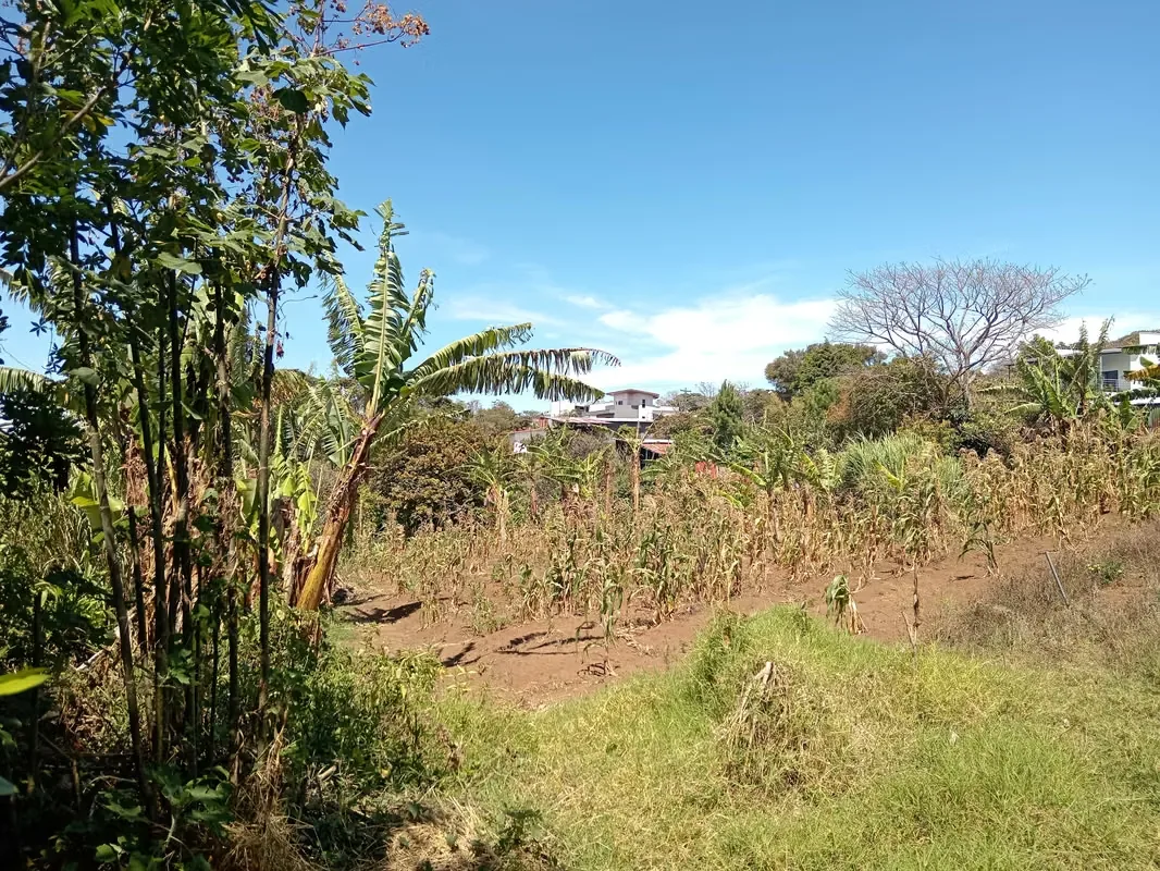 MA Asesoría vende Hermosa Finca en Concepción de San Rafael, Heredia., photo 4
