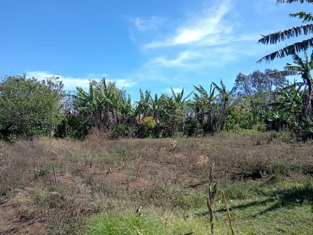 MA Asesoría vende Hermosa Finca en Concepción de San Rafael, Heredia., photo 5