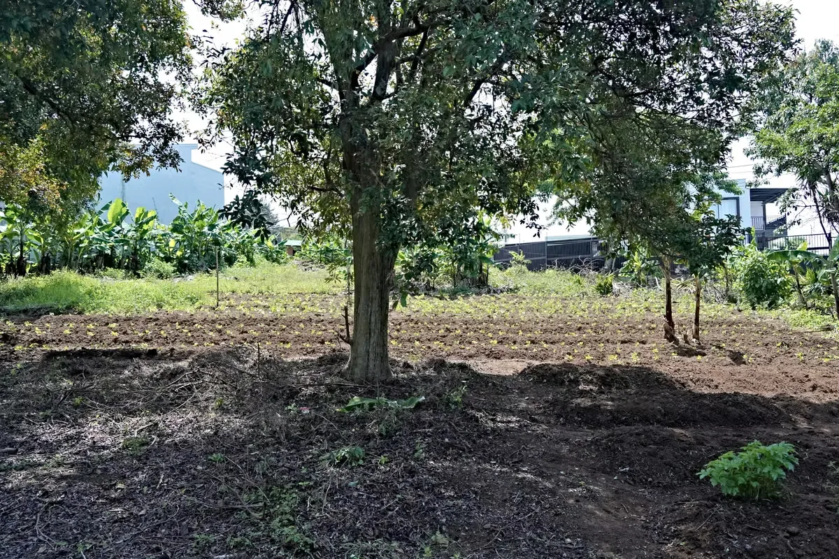 MA Asesoría vende Hermosa Finca en Concepción de San Rafael, Heredia., photo 8