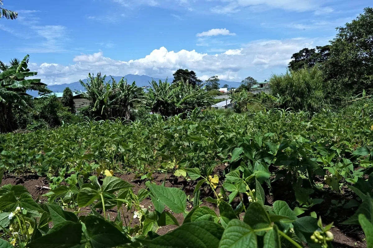 MA Asesoría vende Hermosa Finca en Concepción de San Rafael, Heredia., photo 9