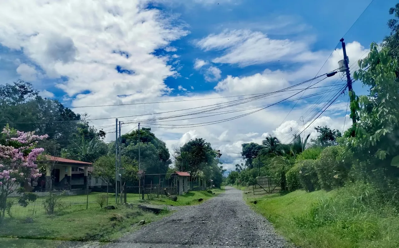 Land for Sale in Guápiles, photo 3