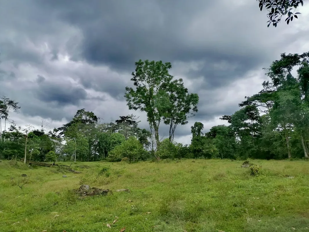 Land for Sale in Guápiles, photo 5