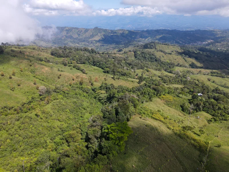 Land For Sale in Perez Zeledon