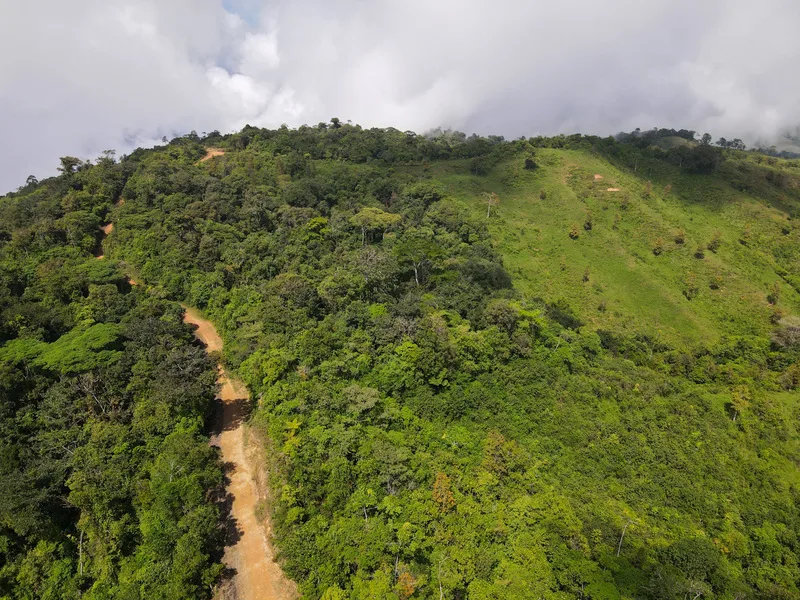 Land For Sale in Perez Zeledon, photo 2