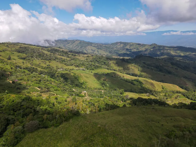 Land For Sale in Perez Zeledon, photo 11