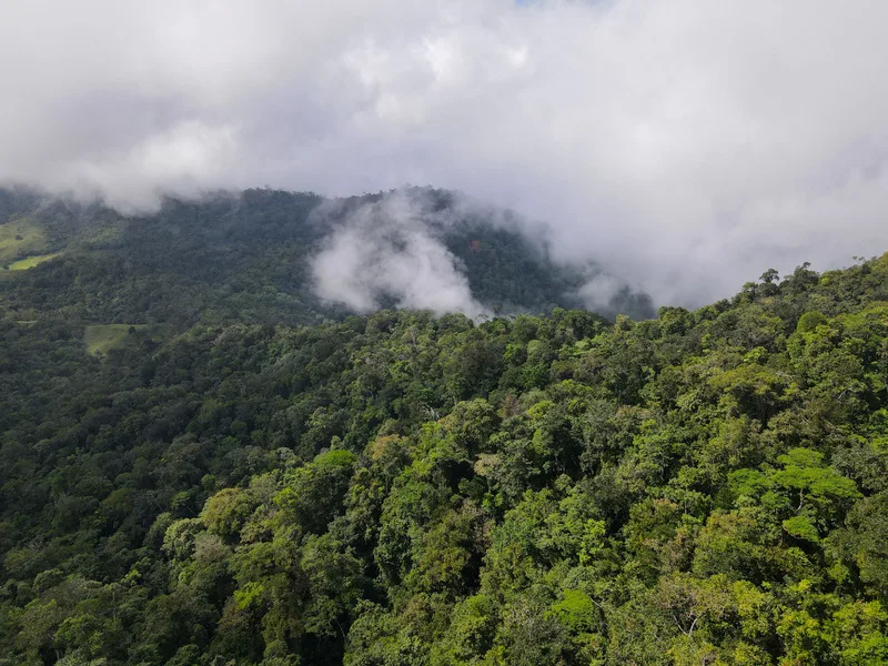 Land For Sale in Perez Zeledon, photo 3