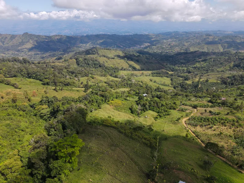 Land For Sale in Perez Zeledon, photo 5