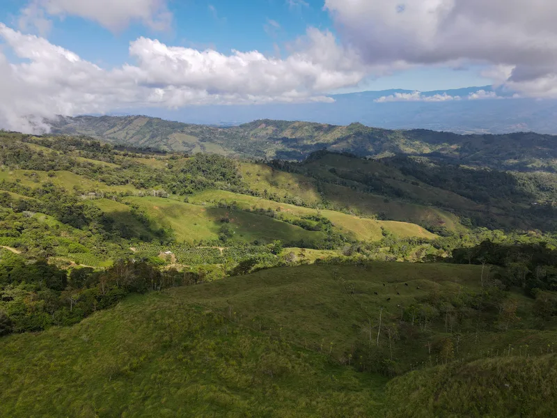 Land For Sale in Perez Zeledon, photo 9